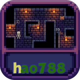 hao788